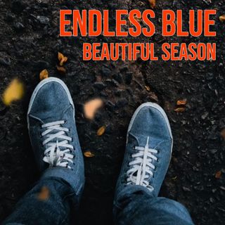 A photo of someone's shoes as they stand on a dark surface and small leaves fall around their feet